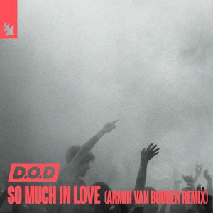 So Much in Love (Armin Van Buuren Remix) - Single