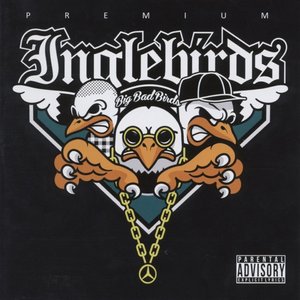 Big Bad Birds [Explicit]