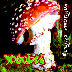 Fungus Amongus cover