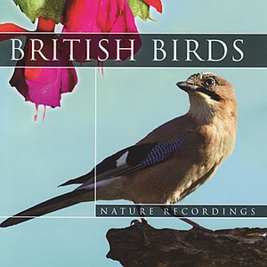 British Birds