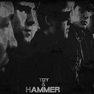 Toys and Hammers 的头像
