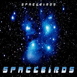 Spacebirds