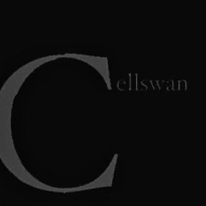 cellswan 的头像