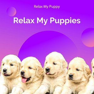 Relax My Puppy 的头像
