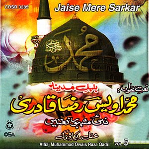 Jaise Mere Sarkar Vol. 5