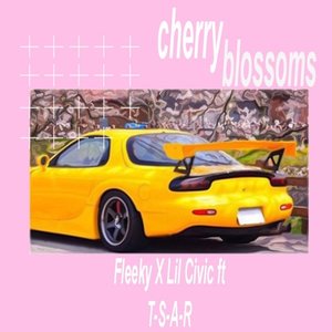 cherry blossoms