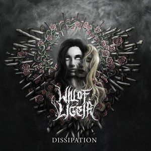 Dissipation