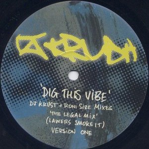 Dig This Vibe (DJ Krust + Roni Size Mixes)