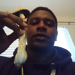 yung hi c 的头像