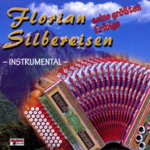 Seine größten Erfolge - Instrumental