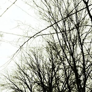 Lethargic