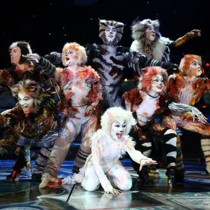 Andrew Lloyd Webber & "Cats" 1983 Broadway Cast 的头像