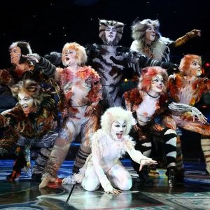 Аватар для Andrew Lloyd Webber & "Cats" 1983 Broadway Cast