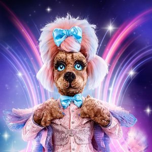Image for 'The Masked Singer: Labradoodle'