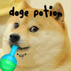Doge Potion