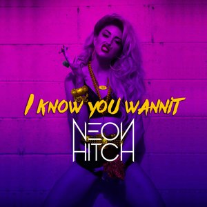 I Know You Wannit - Single