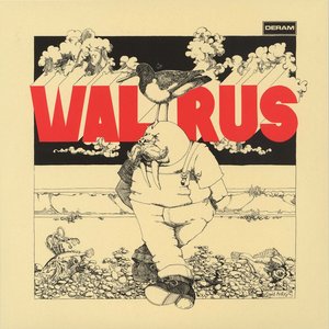 Walrus