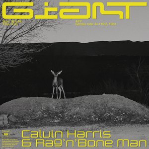 Avatar for Calvin Harris, Rag’n’Bone Man