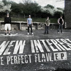 Bild für 'The Perfect Flaw EP'