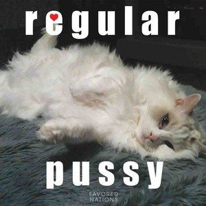 Regular Pussy