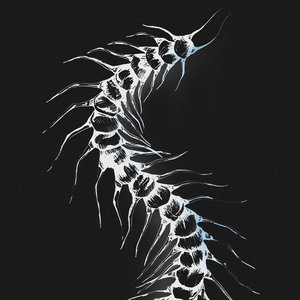 Crawl - Single