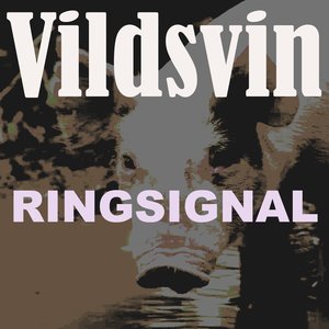 Vildsvin ringsignal