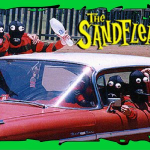 The Sandfleas のアバター