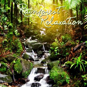 Rainforest Relaxation