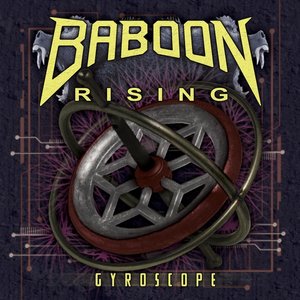 Gyroscope