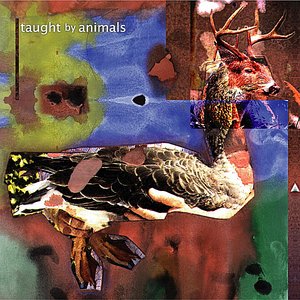 Taught By Animals 2