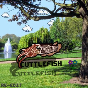 Image for 'Cuttlefish'