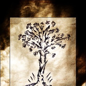 Avatar for Roots of Mallorn