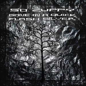 Gone in a Quick Flash Silver