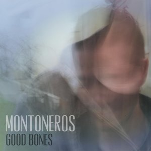 Good Bones