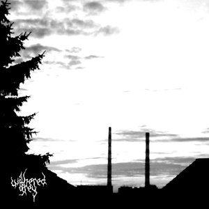 Withered Grey