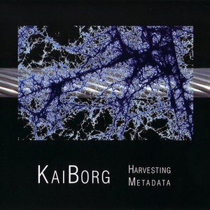 KaiBorg 的头像