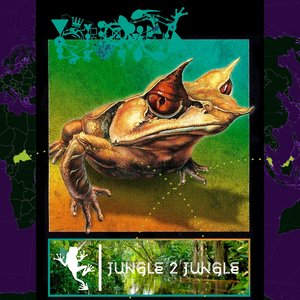 “Jungle 2 Jungle”的封面