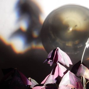 Umbrella Apartment のアバター