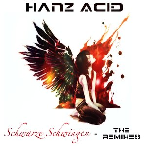 Schwarze Schwingen - The Remixes