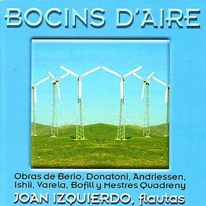 Flecks of Air: Music for Solo Flute