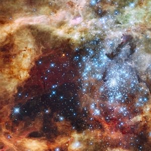 Orchestral/Symphonical/Multi-instrumental