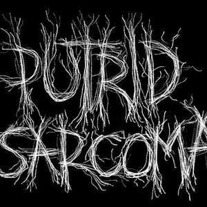 putrid sarcoma 的头像