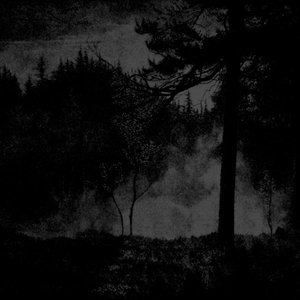 Charles Razeur / Eugene Critchley / Necrotik Fissure / Veil of Nature