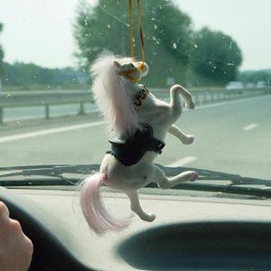Ponycamp 的头像