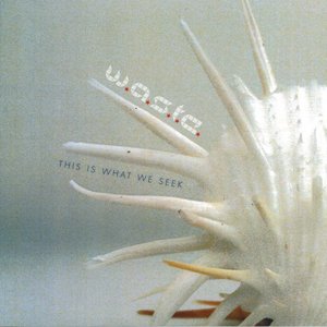 This Is What We Seek (2-Disc Limited Edition)