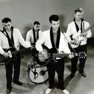 Bobby Vee & The Shadows 的头像