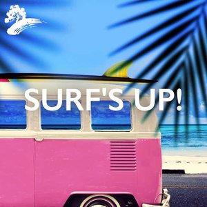 Surf's Up!