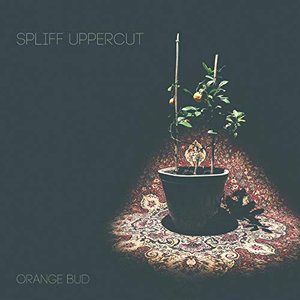 Orange Bud [Explicit]