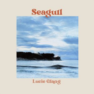 Seagull