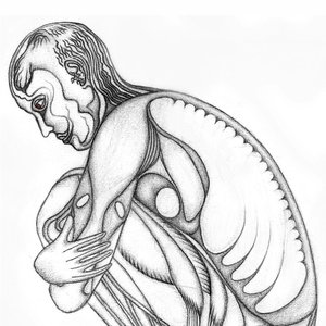 oroganolaficalogramme